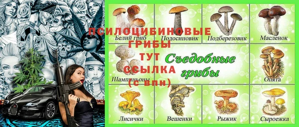 мдпв Вязники