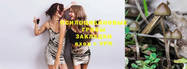 мяу мяу мука Вяземский