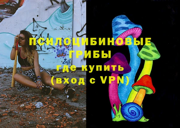 мдпв Вязники
