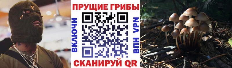 Псилоцибиновые грибы ЛСД  Петровск 